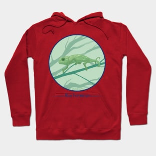 Chameleon Hoodie